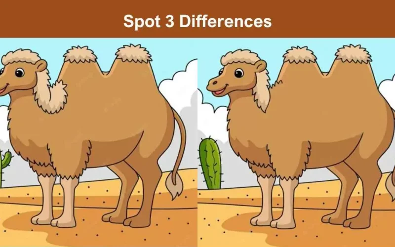 الاختلاف رقم 2 صعب.. هل يمكنك إيجاد 3 اختلافات بين صور جمل الصحراء خلال 11 ثانية؟ 