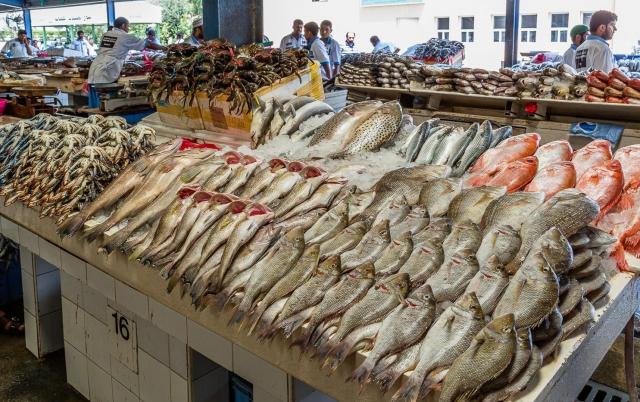 تسبب الوفاة فورًا.. تحذيرات عاجلة بشأن تناول هذا النوع من الأسماك| منتشر في مصر