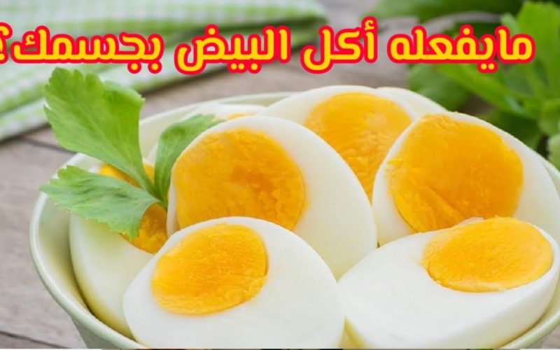 اللحقوا شوفوا…..شاهد ماذا يحدث لجسمك عند المداومة على تناول البيض يوميا