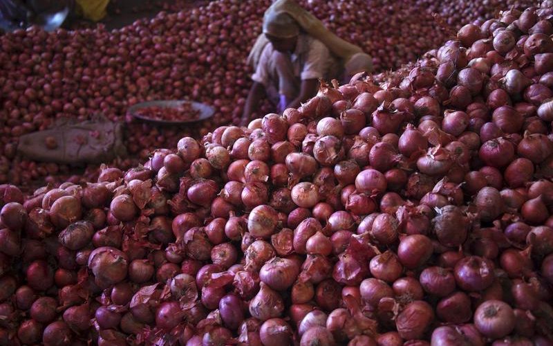 الزراعة تزف بشرى للمواطنين بشأن انتهاء موعد أزمة البصل
