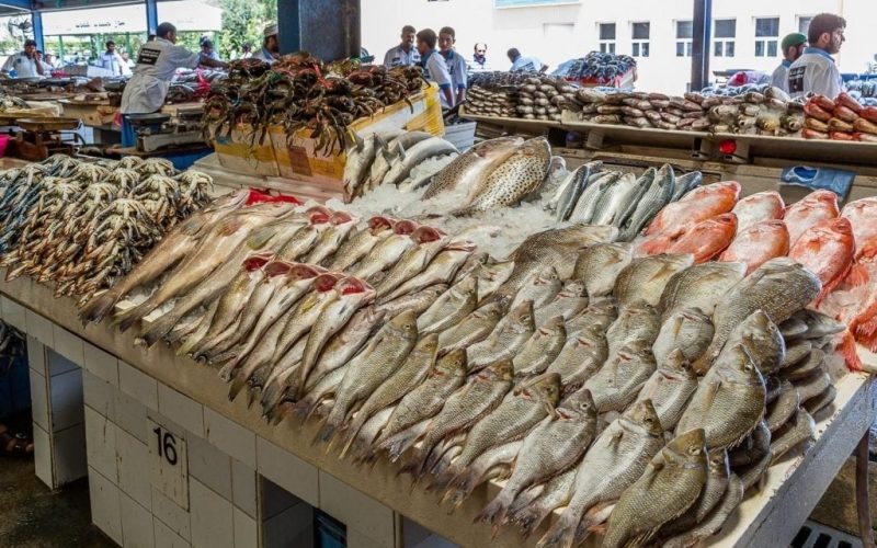 البلطي بكام النهاردة.. أسعار الأسماك اليوم الاثنين 13 نوفمبر 2023 بسوق العبور