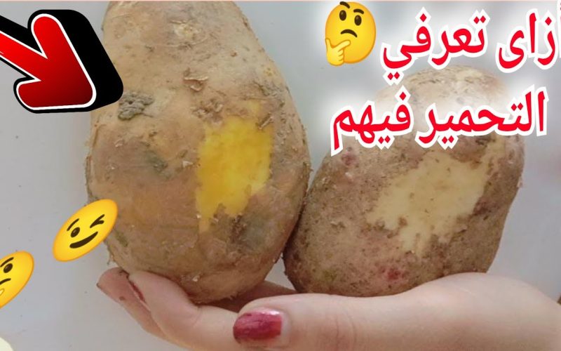 “خدي الزتونة واعرفي الفرق” كيف أعرف البطاطس القلي والبطاطس الطبيخ؟ تفاصيل