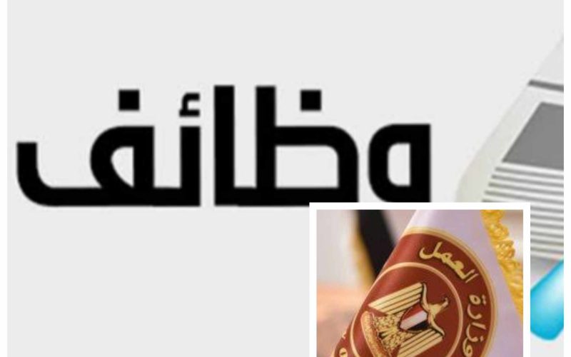 بالتفاصيل.. وزارة العمل تعلن عن وظائف جديدة بمرتبات مجزية في 14 محافظة