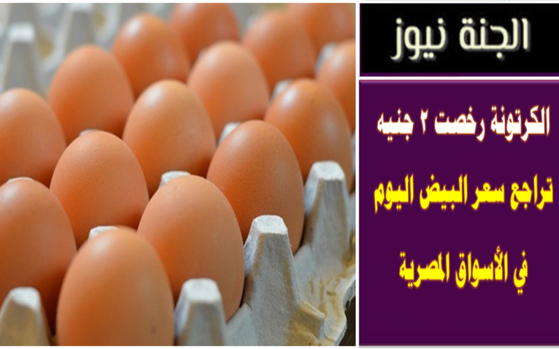 الكرتونة رخصت 2 جنيه .. تراجع أسعار البيض اليوم في الأسواق المصرية