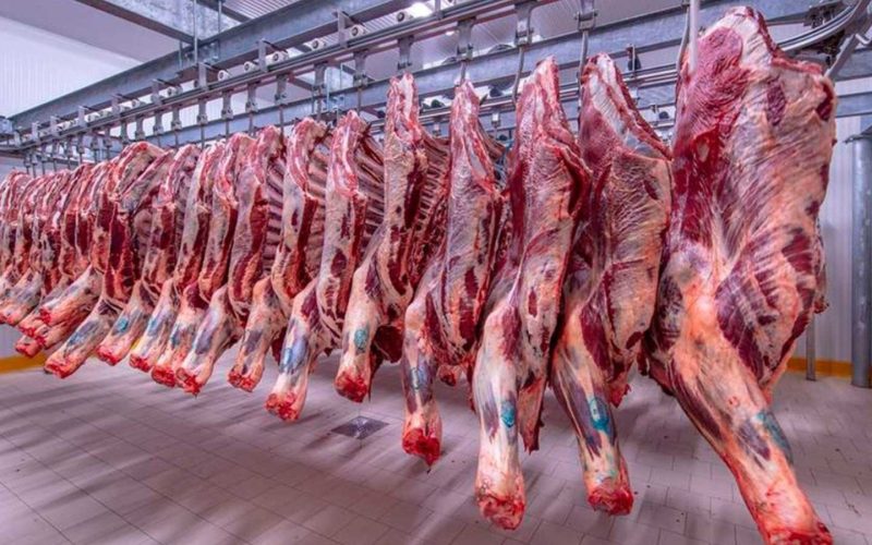 تراجع مفاجئ في اسعار اللحوم اليوم الخميس 9 مايو 2024