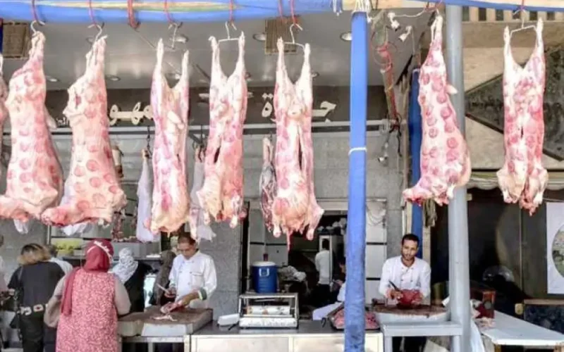 عاجل.. تراجع اسعار اللحوم في الأسواق اليوم الاثنين 13 مايو
