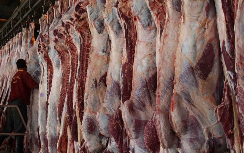 عاجل.. تراجع سعار اللحوم في الأسواق اليوم الاثنين 13 مايو
